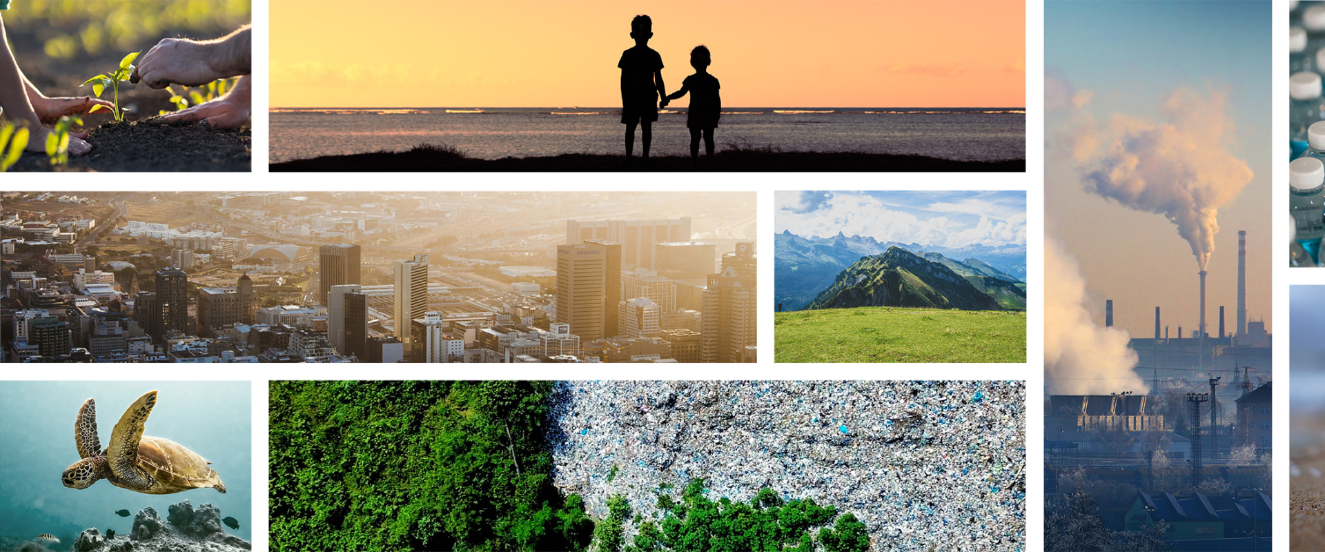 The Impact of Plastic Bag Bans in St. Leonard, Maryland