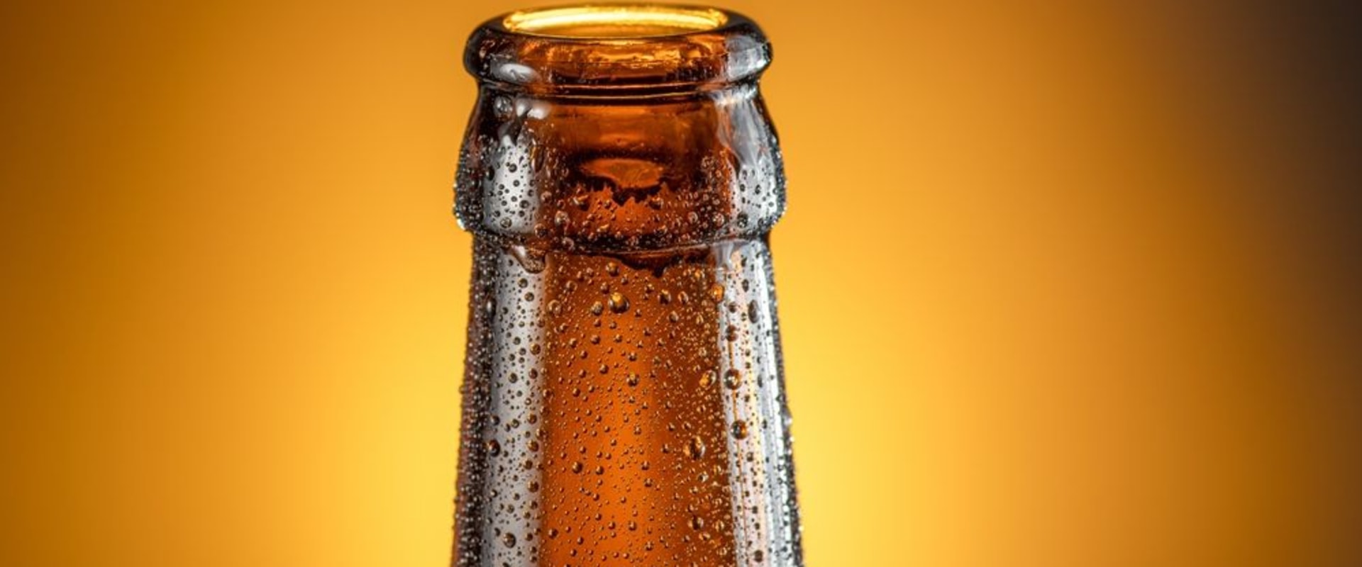 The Consequences of Littering in St. Leonard, Maryland