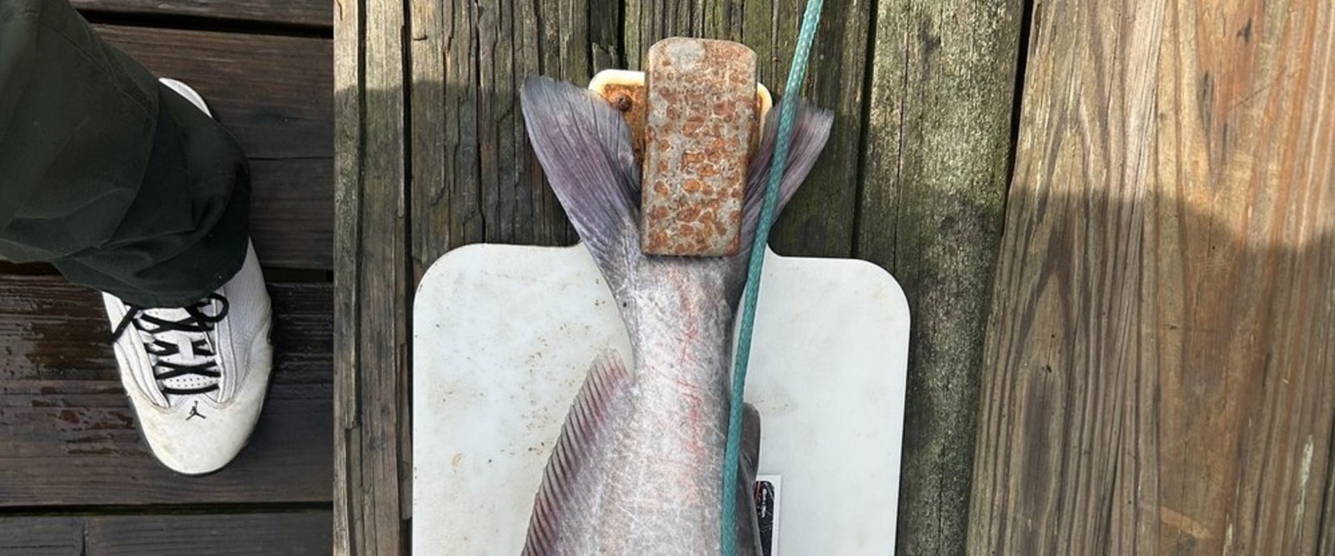 Exploring the State Laws for Hunting and Fishing in St. Leonard, Maryland