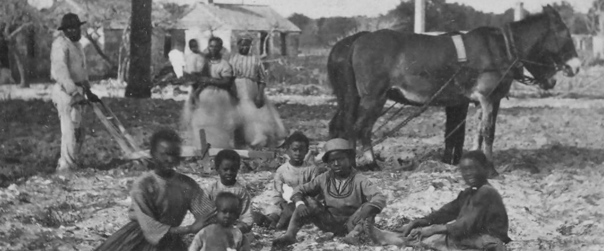 Protecting Animals in St. Leonard, Maryland: Understanding State Laws on Animal Cruelty