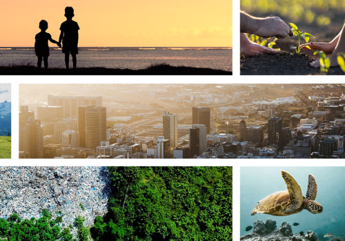 The Impact of Plastic Bag Bans in St. Leonard, Maryland