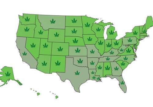 The Changing Landscape of Marijuana Laws in St. Leonard, Maryland