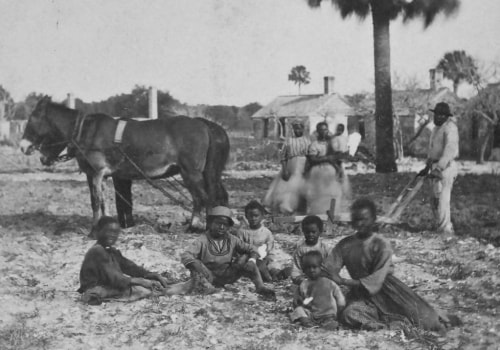 Protecting Animals in St. Leonard, Maryland: Understanding State Laws on Animal Cruelty